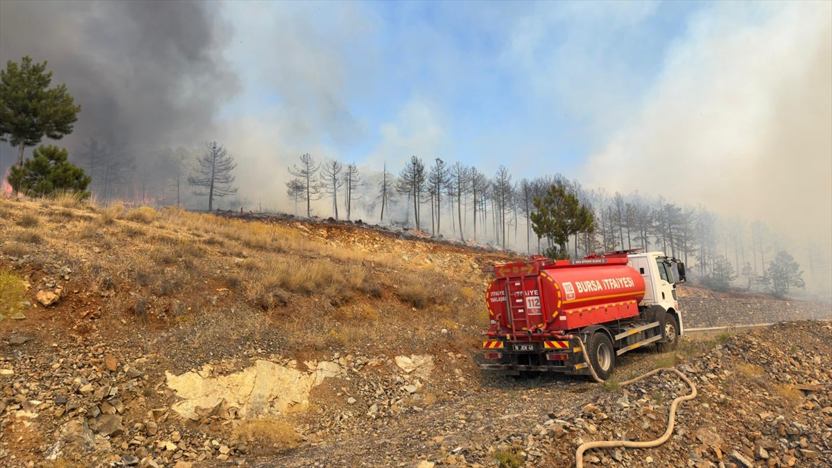 Bursa'da çıkan orman yangınına müdahale ediliyor