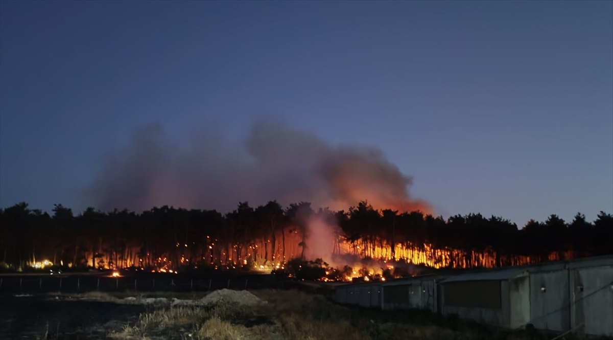 Balıkesir'de tavuk çiftliğinden ormana sıçrayan yangınla ilgili 2 zanlı tutuklandı