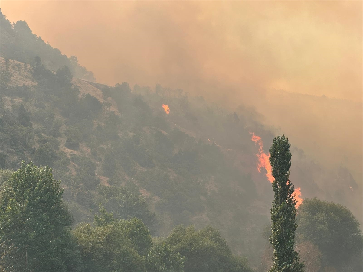 Uşak'ta orman yangınına müdahale ediliyor