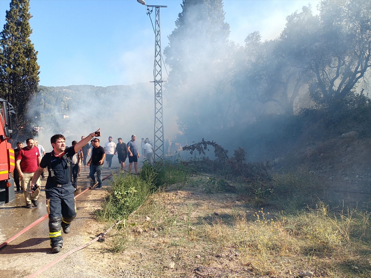 Kocaeli'de ormanlık alanda çıkan yangına müdahale ediliyor