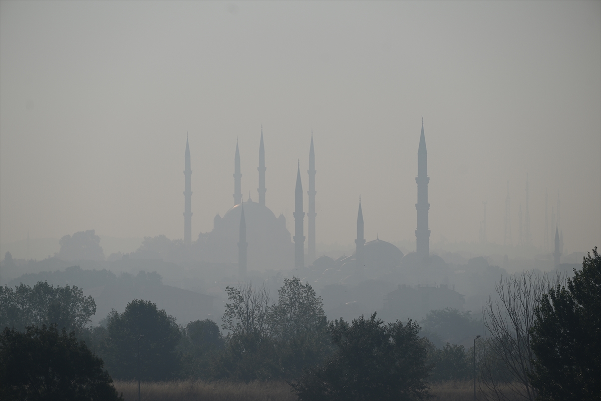 Bulgaristan'daki orman yangınının koku ve dumanı 50 kilometre uzaklıktaki Edirne'ye ulaştı