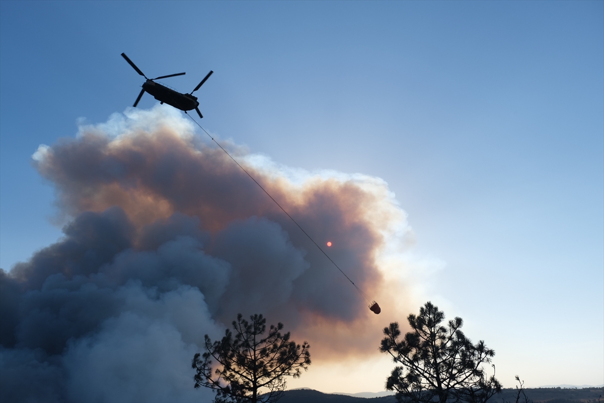 Bursa'nın Orhaneli ilçesindeki orman yangınına müdahale sürüyor