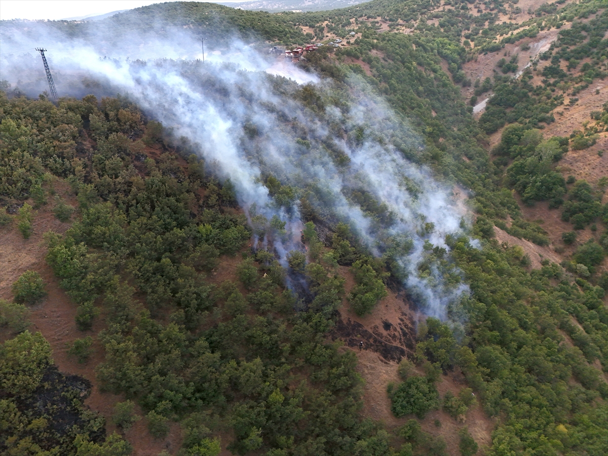 Bingöl'de çıkan orman yangınları kontrol altına alındı