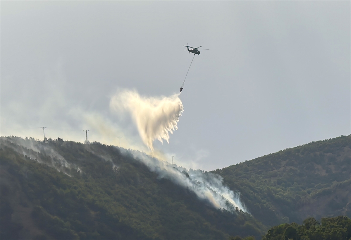 Bingöl'de çıkan orman yangınlarına müdahale ediliyor
