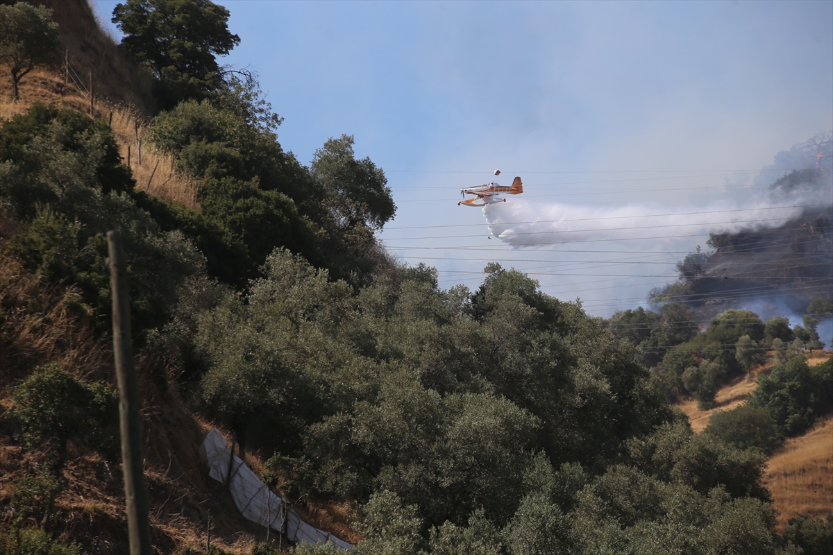 Aydın'da ağaçlık alanda çıkan yangın kontrol altına alındı