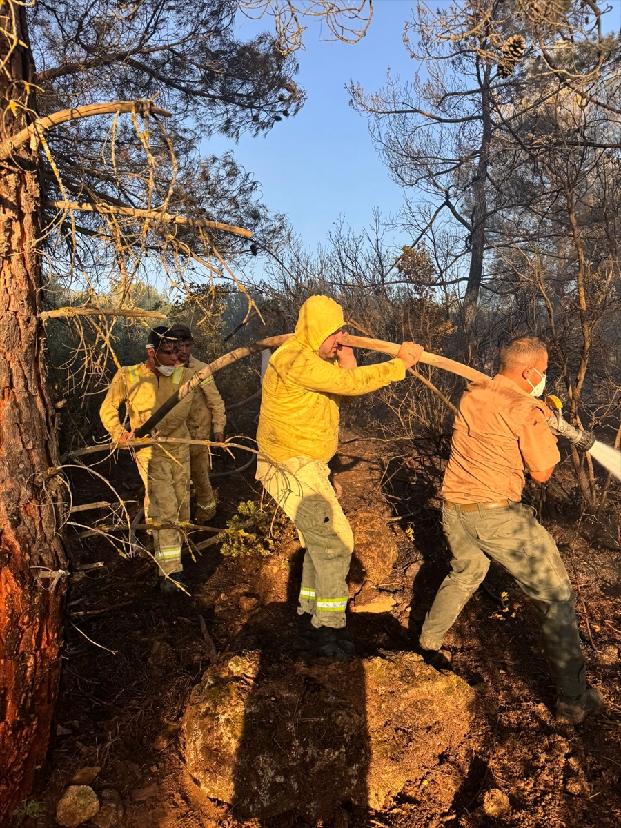 Denizli Tavas'ta çıkan orman yangını söndürüldü