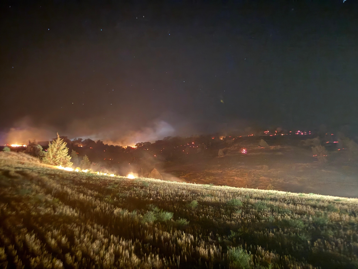 Çorum'da tarlada çıkan ve ormanlık alana sıçrayan yangın söndürüldü