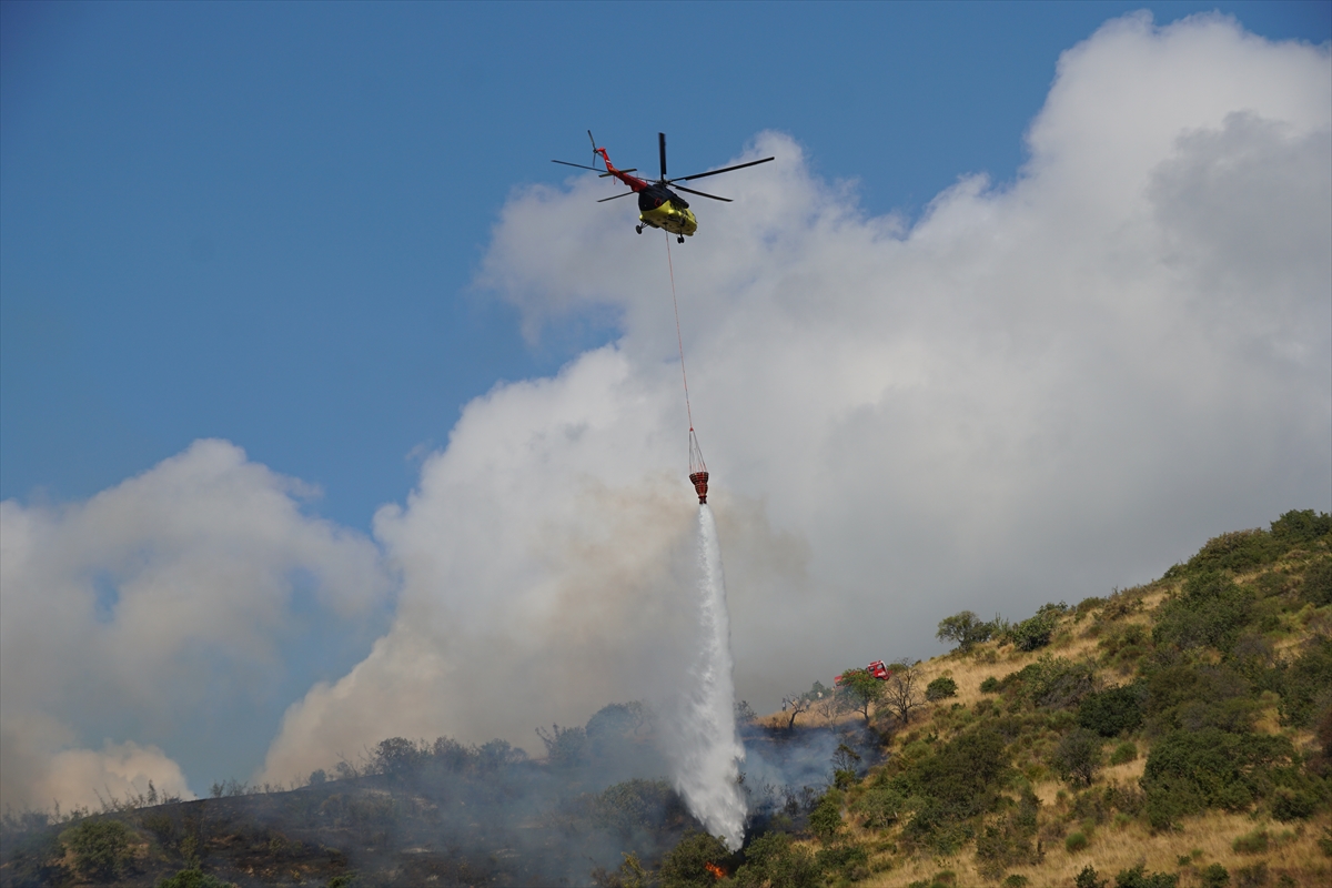Tekirdağ'da makilikte çıkan yangın kontrol altına alındı
