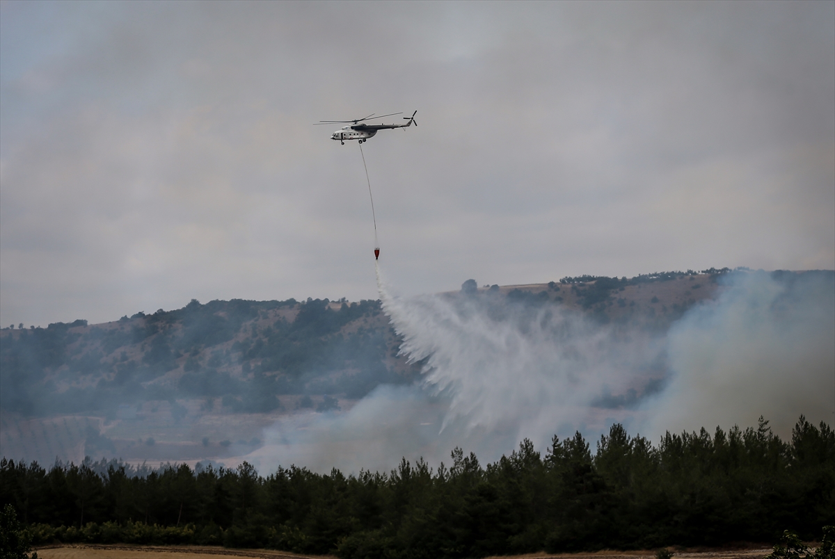Bursa'da ormanlık alanda çıkan yangın kontrol altına alındı