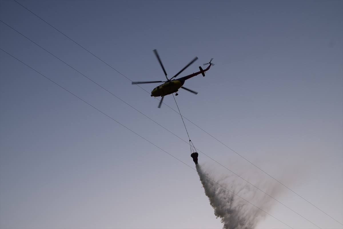 Manisa'da tarım arazisinden makilik alana sıçrayan yangın kontrol altına alındı
