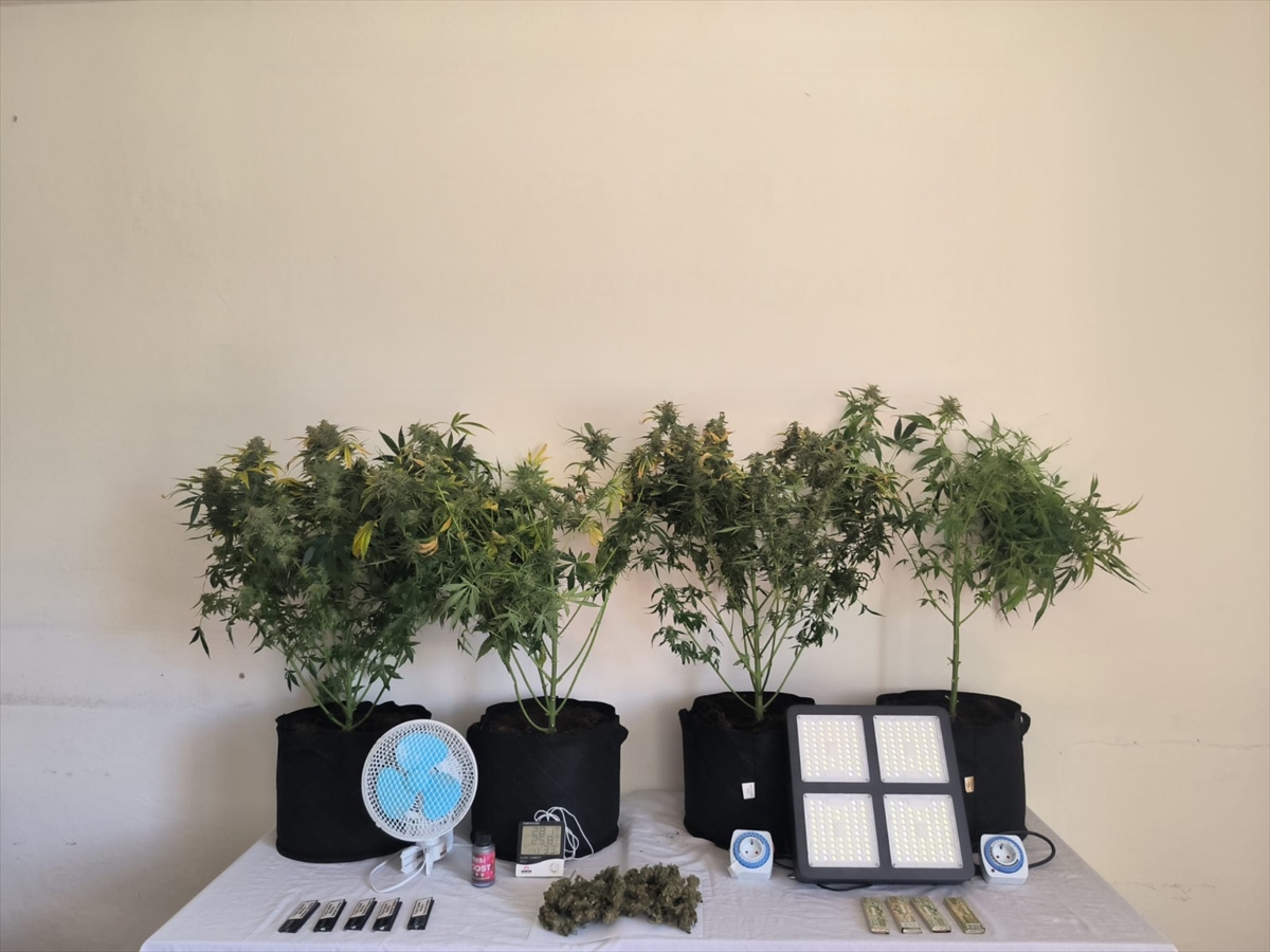 Tunceli’de uyuşturucu operasyonunda 14 şüpheli yakalandı