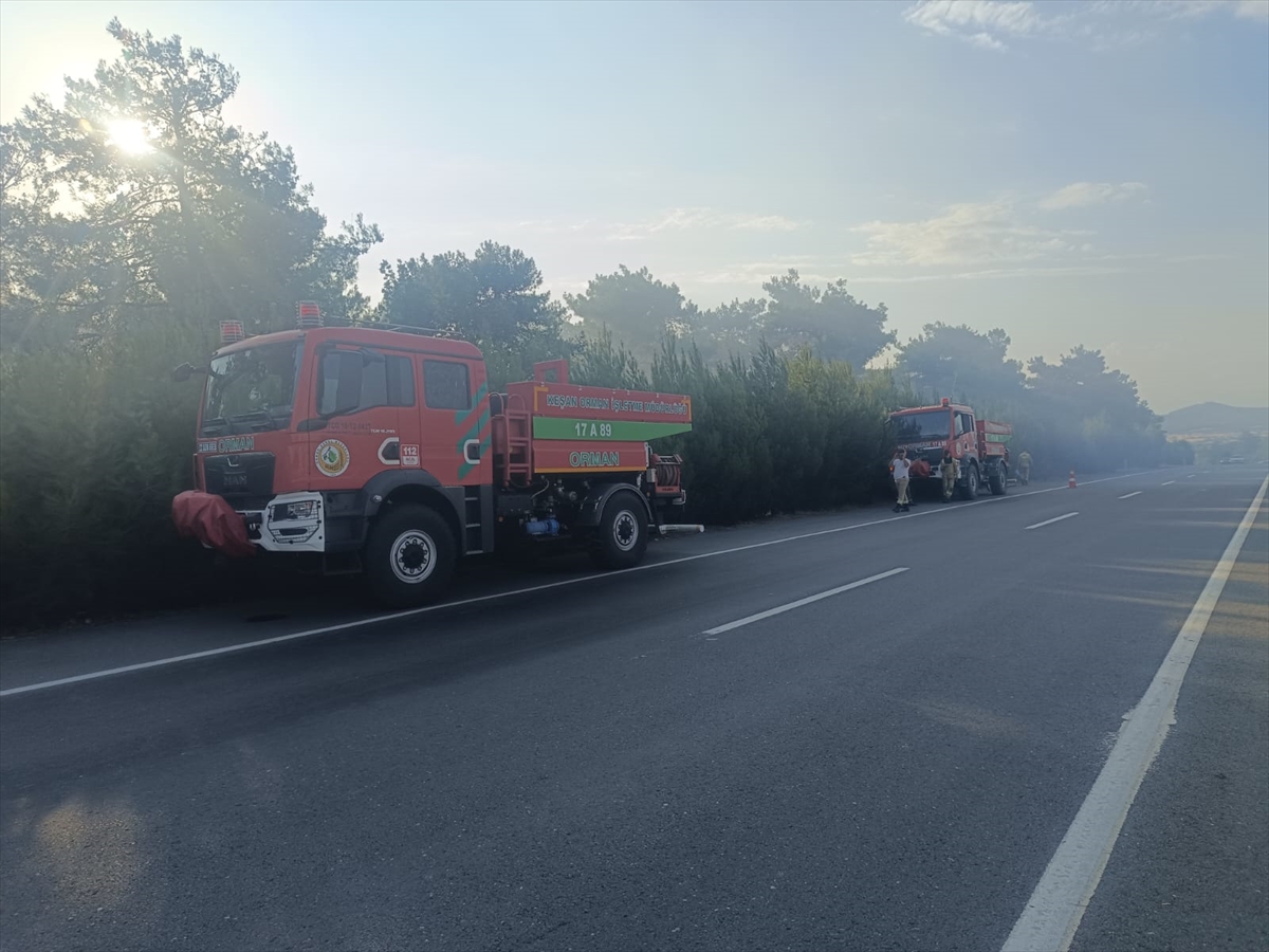 Edirne'de çıkan orman yangını kontrol altına alındı