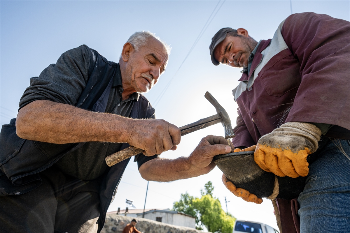Nalbant aile, köyleri gezerek atları hasada hazırlıyor
