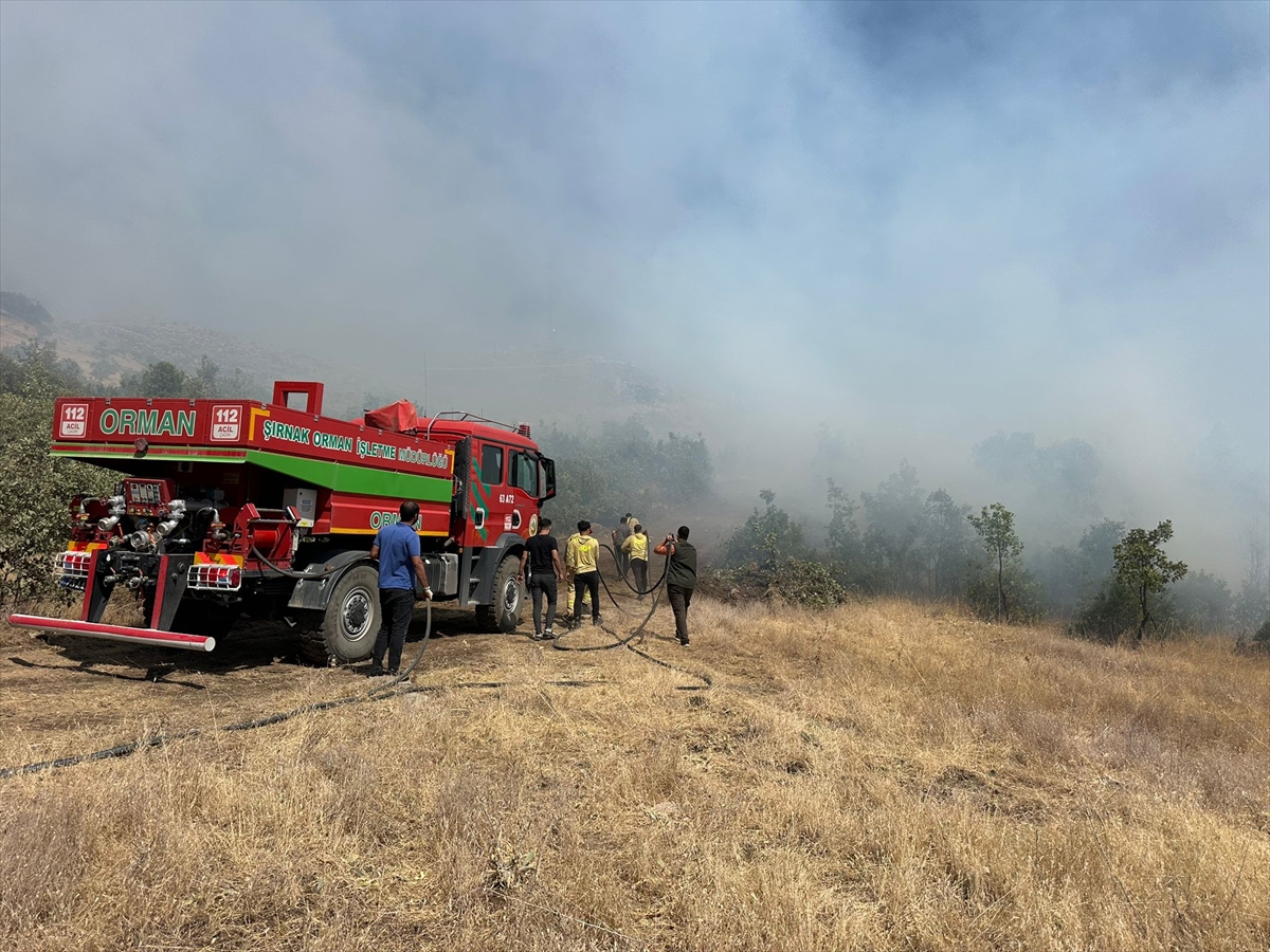 Şırnak'ta orman ve örtü yangını kontrol altına alındı