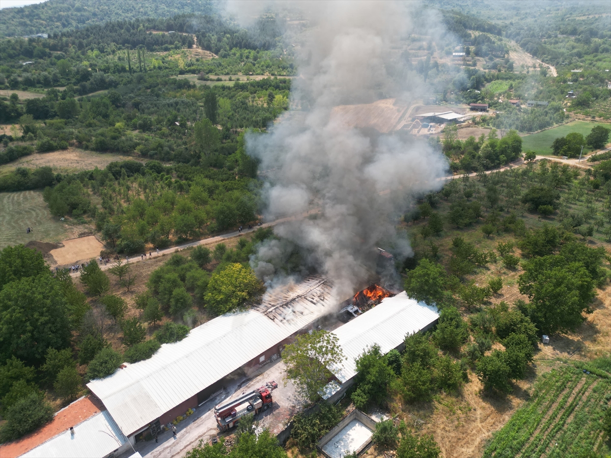 Bursa'da mobilya imalathanesinde çıkan yangın hasara neden oldu