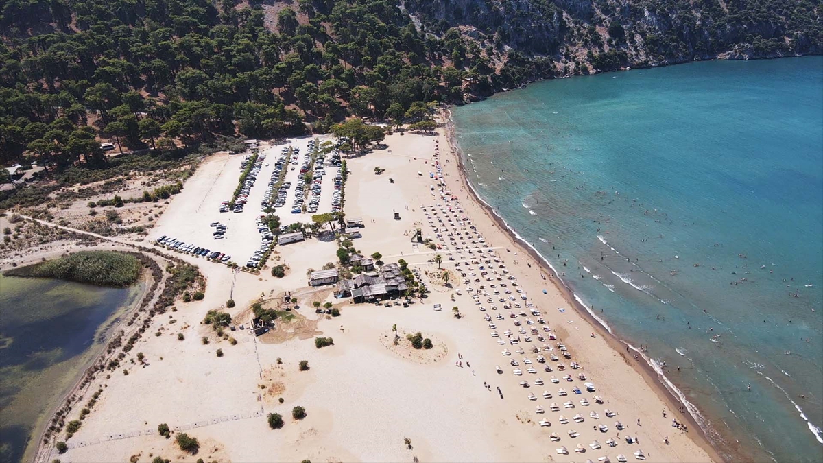 Uydu cihazıyla izlenen caretta caretta "Tuba" ikinci dünya turuna hazırlanıyor