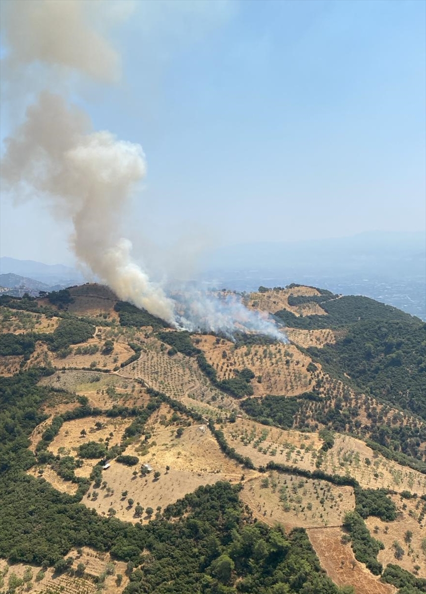 Aydın'da tarım arazisinde çıkan yangın kontrol altına alındı