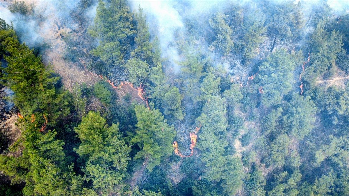 Karabük'te çıkan orman yangınına müdahale ediliyor