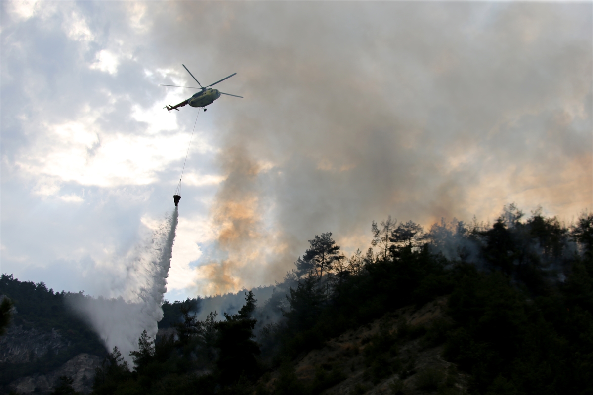 Karabük'te çıkan orman yangını kontrol altına alındı