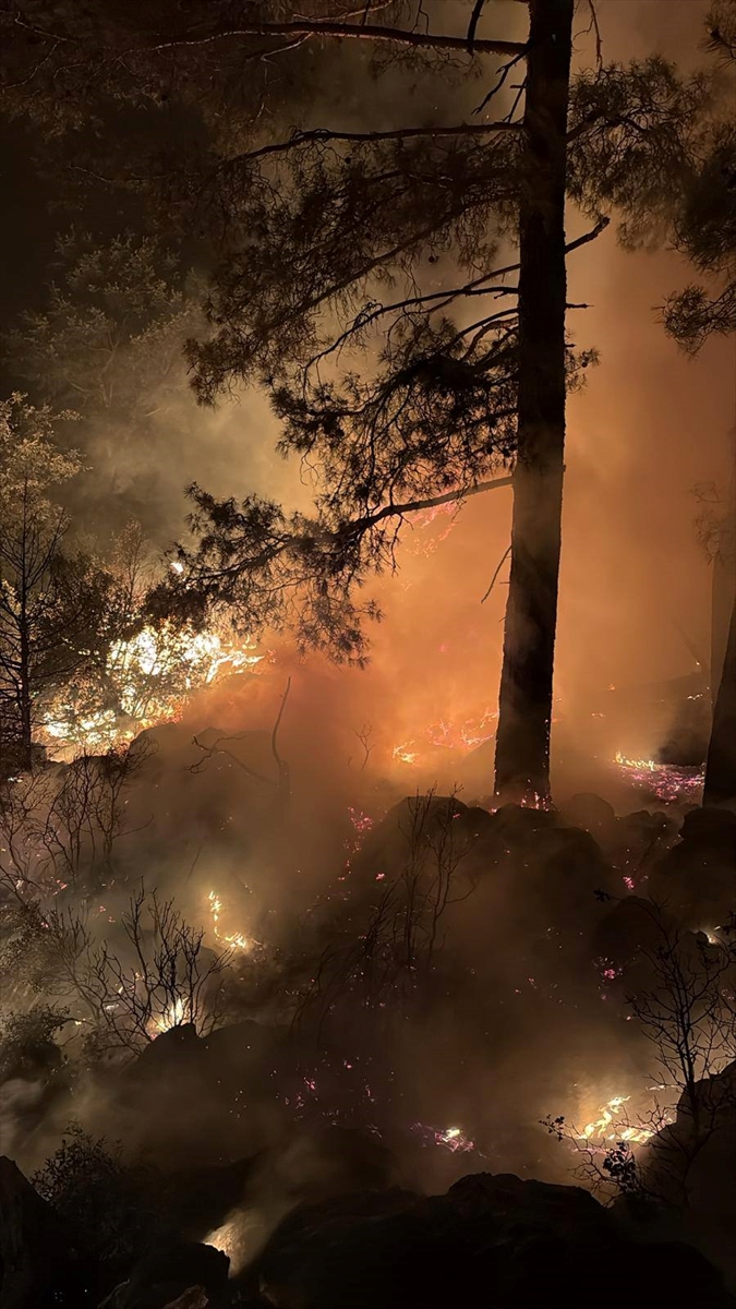 Isparta'da ormanlık alanda çıkan yangın kontrol altına alındı