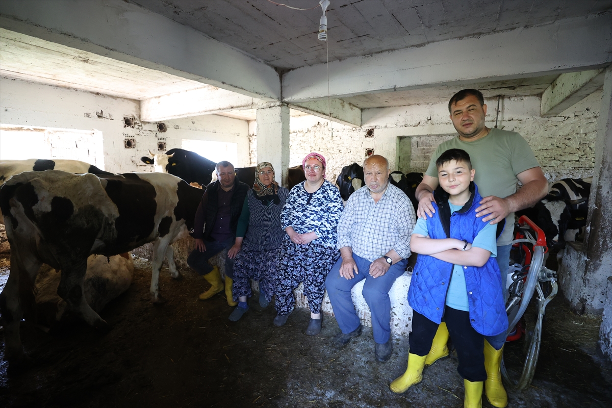 İstanbul'dan köyüne dönen aile devlet desteğiyle hayvancılığa başladı