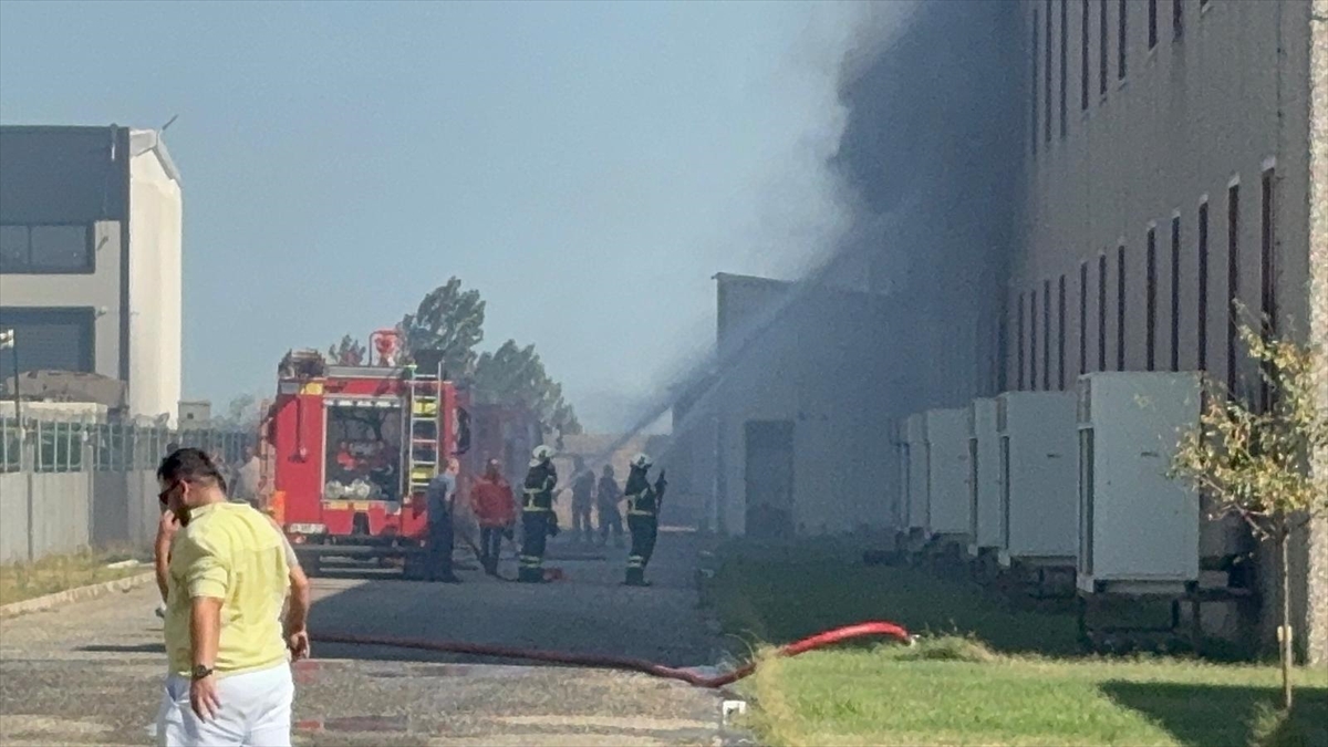 Tekirdağ'da tarım arazisinden tül fabrikasına sıçrayan yangına müdahale ediliyor