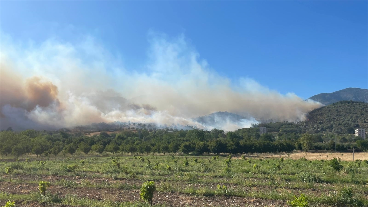 Sakarya'da makilik alanda çıkan yangına müdahale ediliyor