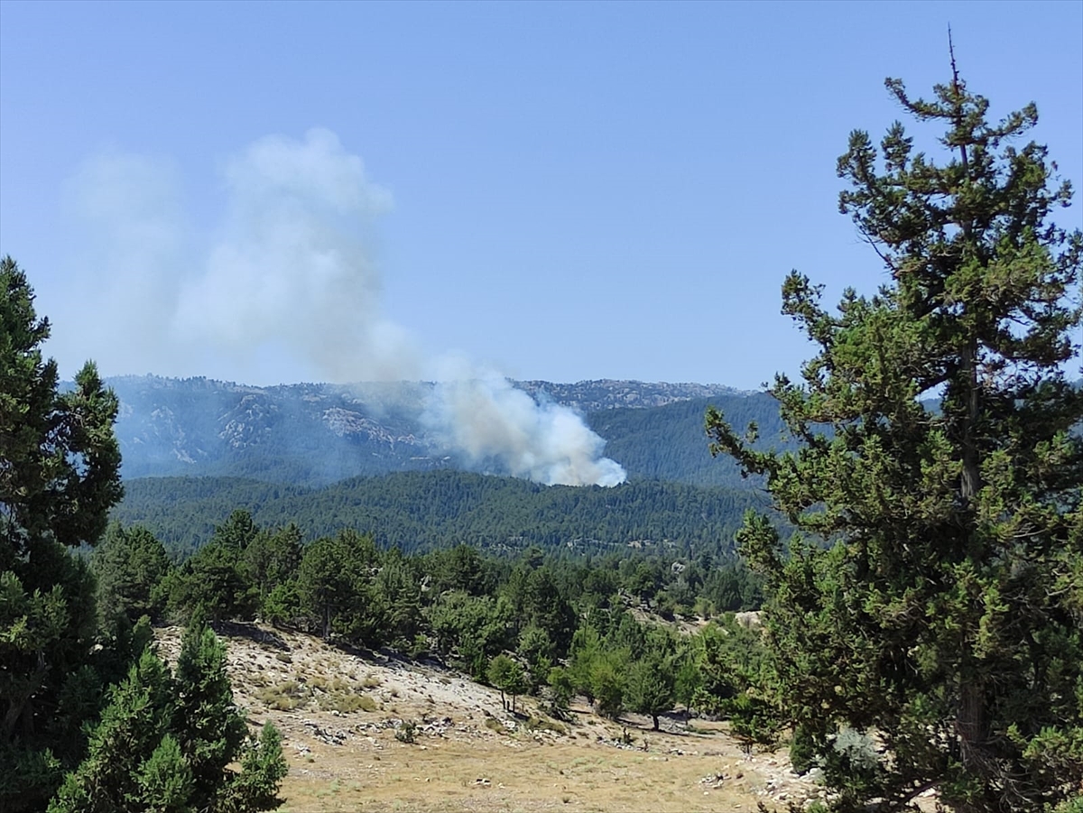 Mersin'de ormanlık alanda yangın çıktı