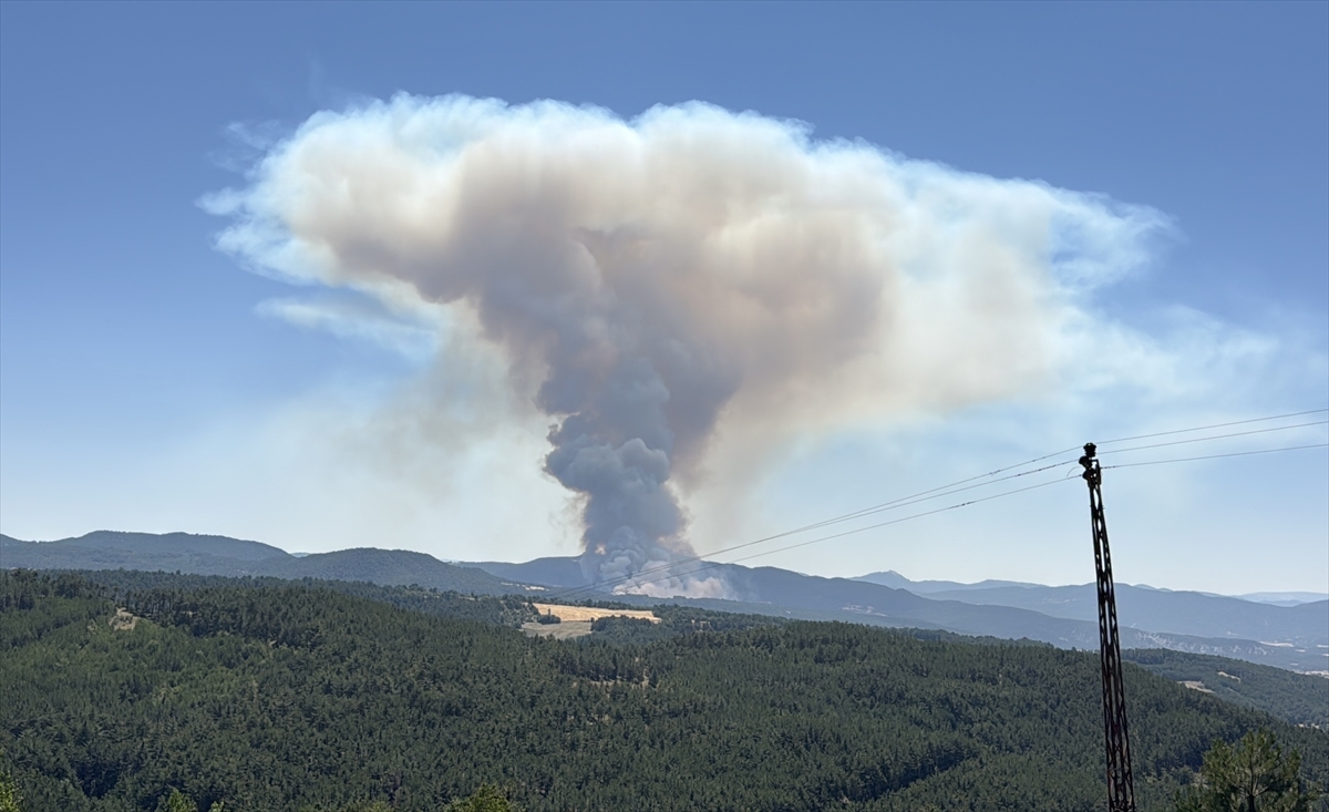 Yangınlar durmuyor.Bolu'da çıkan orman yangınına müdahale ediliyor