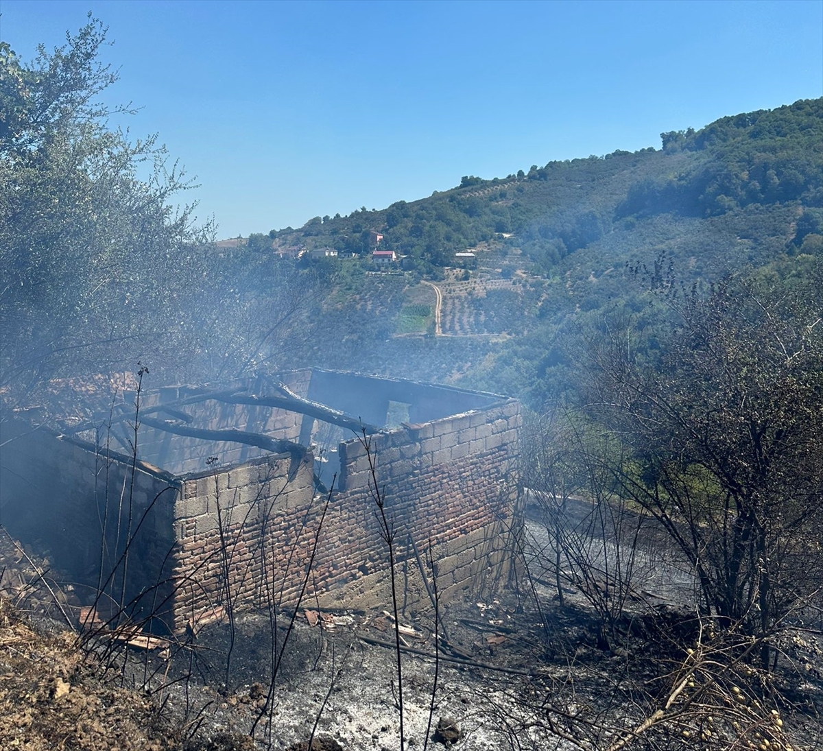 Samsun'da fındık bahçesinde çıkan yangın ormana sıçramadan söndürüldü