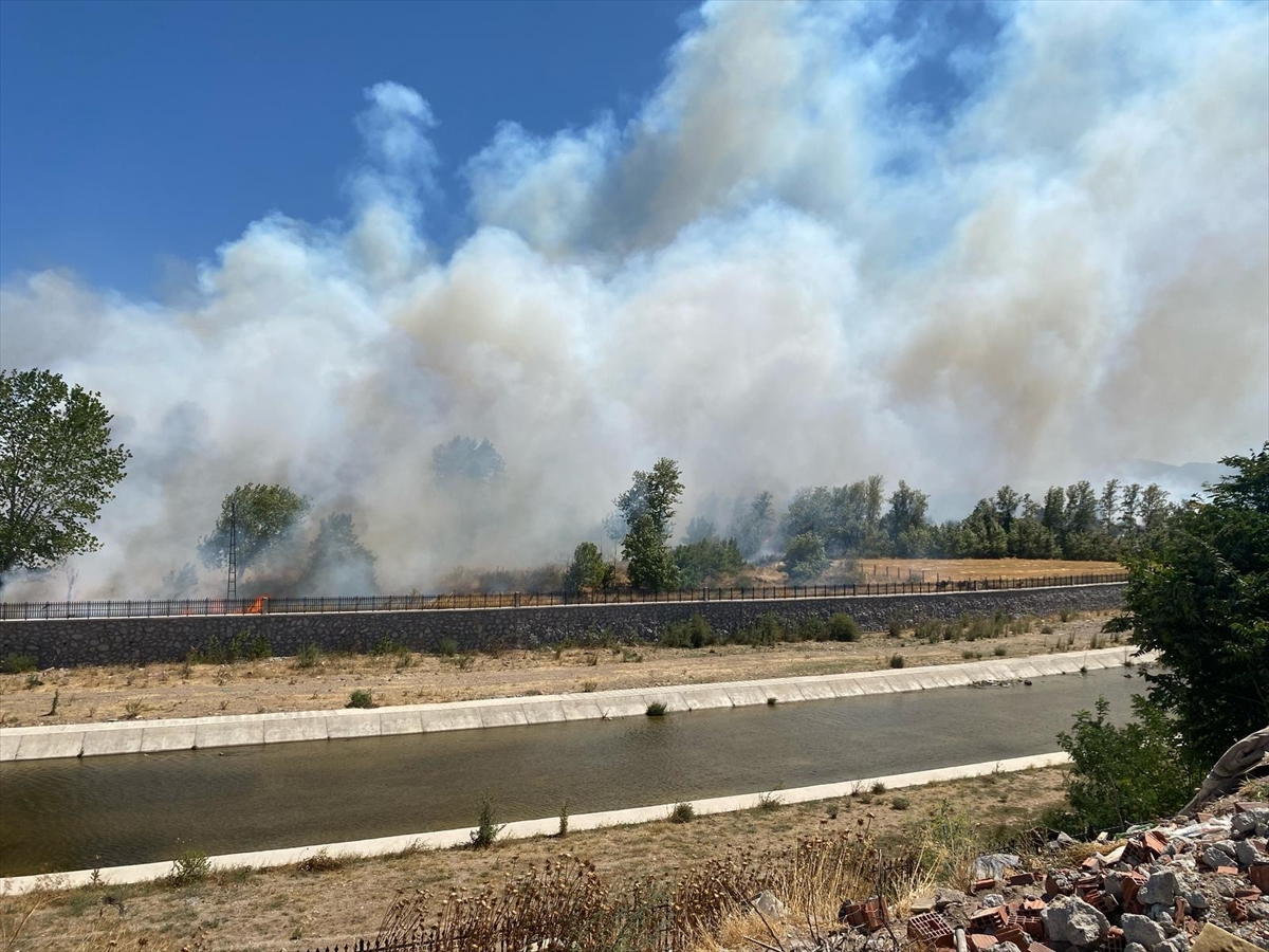 Çanakkale'nin Ayvacık ilçesinde çöplükte başlayan yangın ormana sıçradı