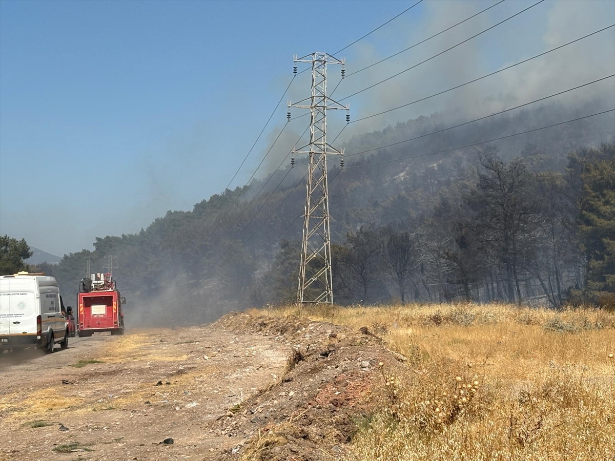 Manisa Soma'da orman yangını çıktı