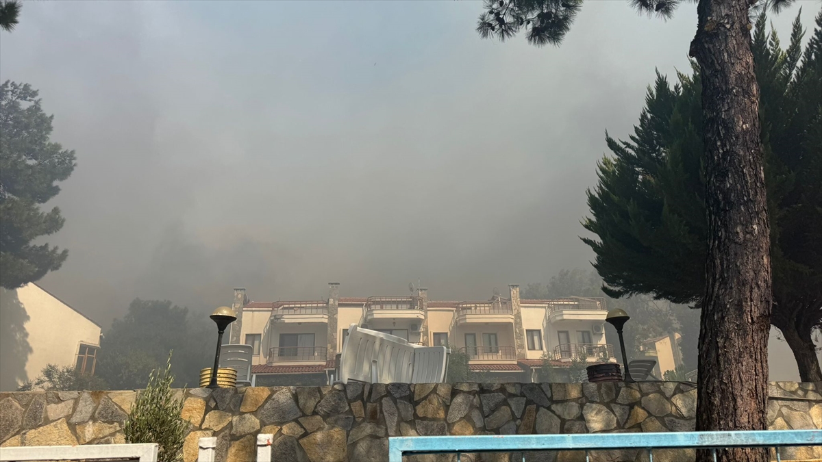 Çanakkale'de çıkan orman yangınına müdahale ediliyor