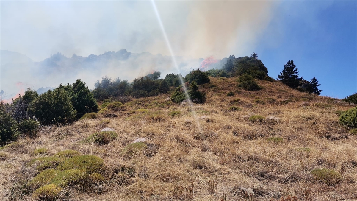 Erzurum'da çıkan örtü yangını söndürüldü