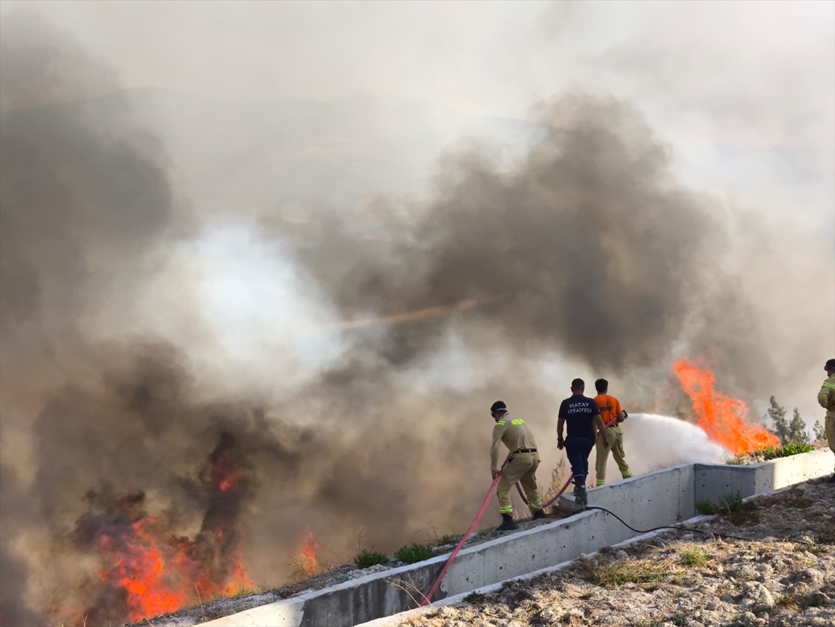 Hatay'da ormanlık alanda yangın çıktı