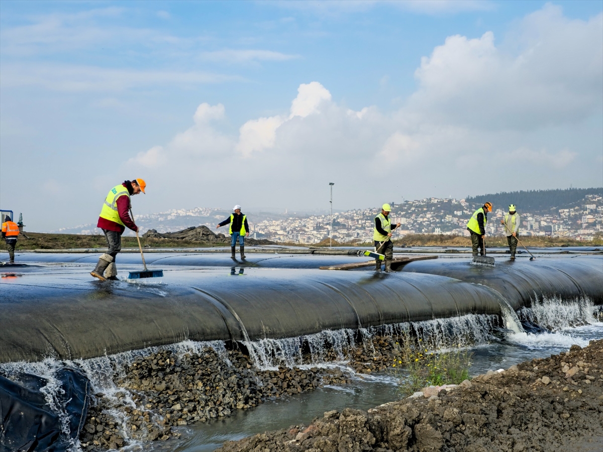 Dip çamuru temizliği yapılan İzmit Körfezi'nde balık popülasyonu yüzde 35 arttı