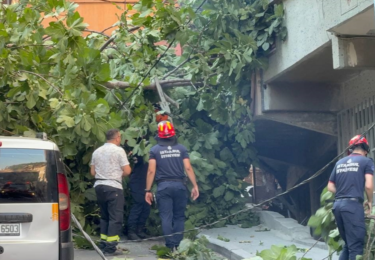 Beyoğlu'nda devrilen ağaçlar 2 araca zarar verdi