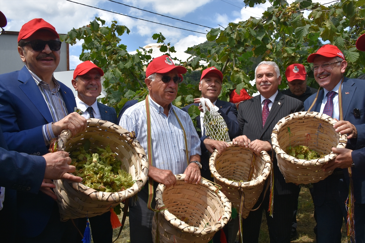 Trabzon'da örnek bahçede Fındık Hasat Şenliği düzenlendi