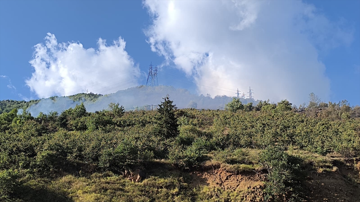 Gümüşhane'deki örtü yangını kontrol altına alındı