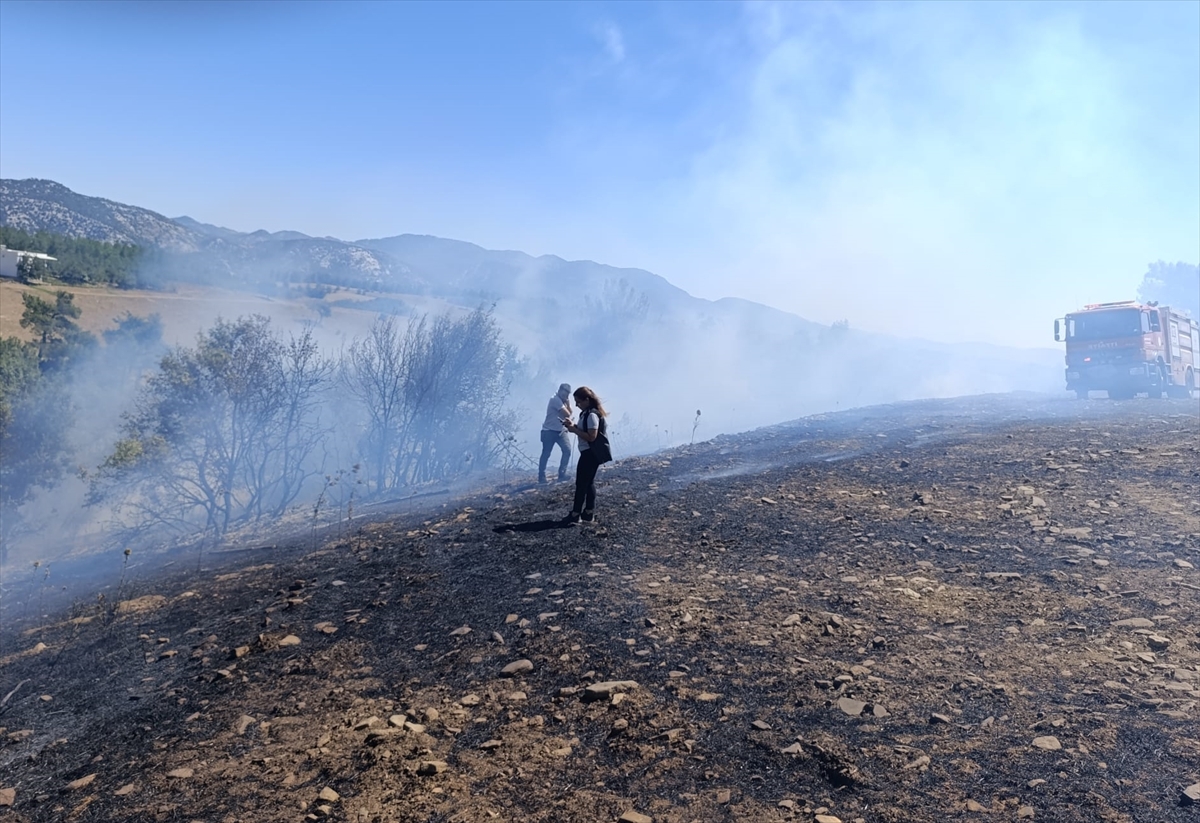 Adana'da çıkan orman yangını kontrol altına alındı