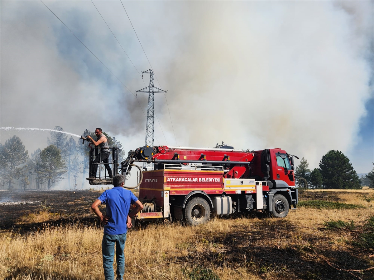 Çankırı'da çıkan orman yangını kontrol altına alındı