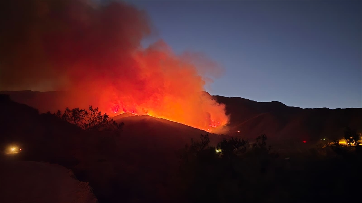 Hatay'da ormanlık alanda yangın çıktı
