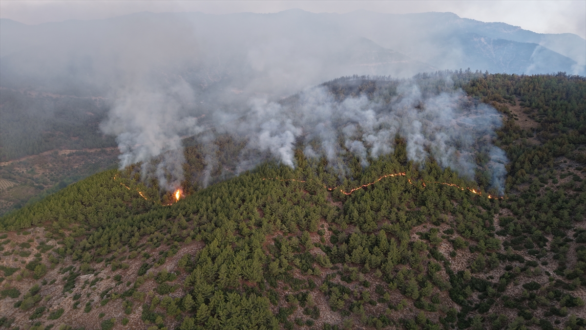 Hatay'da dün çıkan orman yangınına müdahale ediliyor