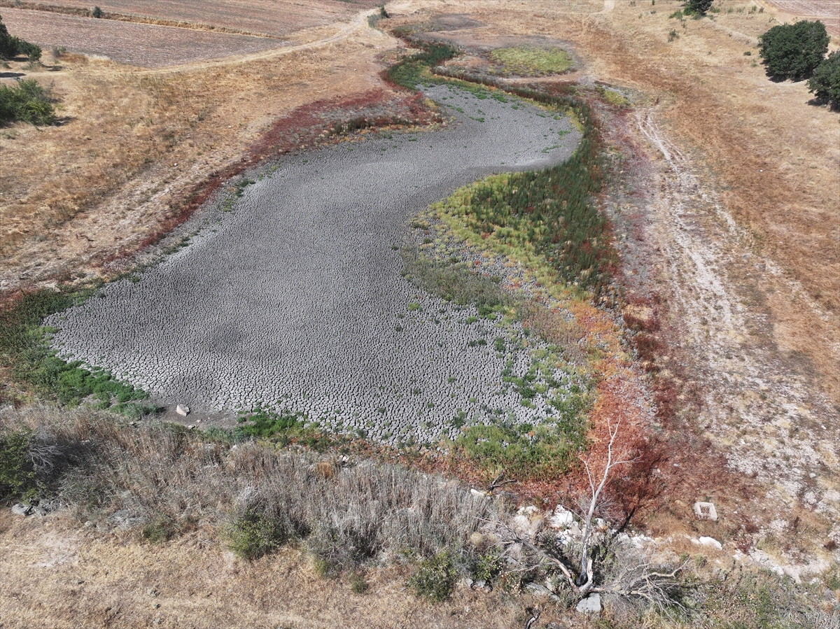 Edirne'deki Küçükdöllük Göleti kuraklık nedeniyle tamamen kurudu
