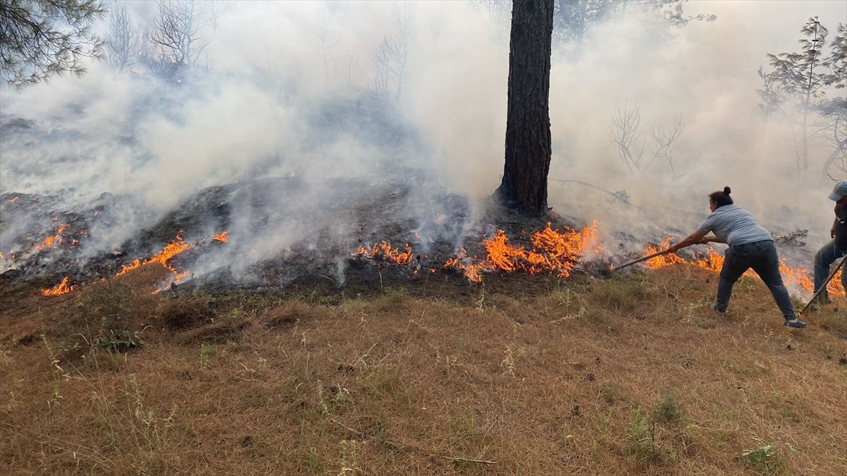 Çanakkale'de çıkan orman yangını kontrol altına alındı