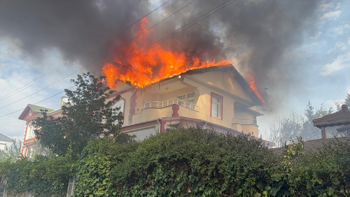 Tekirdağ'da otluk alanda çıkan yangın söndürüldü