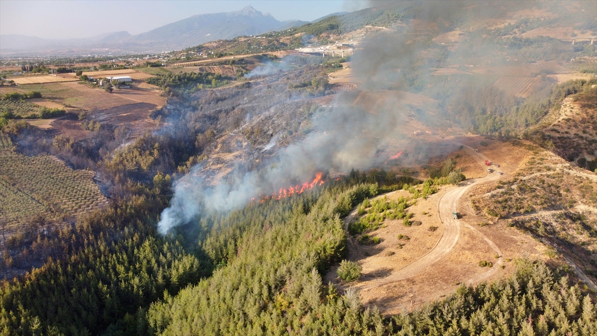 Osmaniye'de orman yangını çıktı