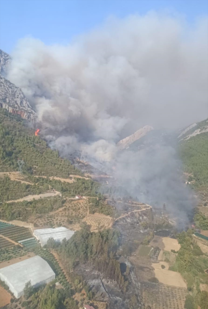 Mersin Anamur'da orman yangını çıktı