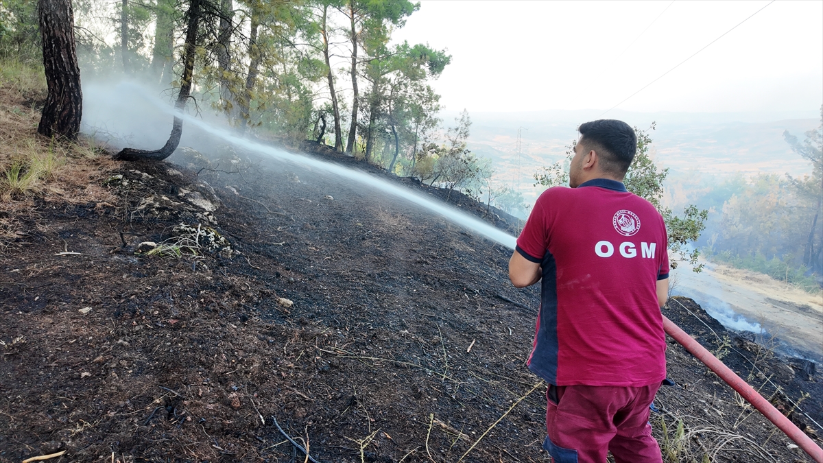 Manisa'da ormanlık alanda çıkan yangın kontrol altına alındı