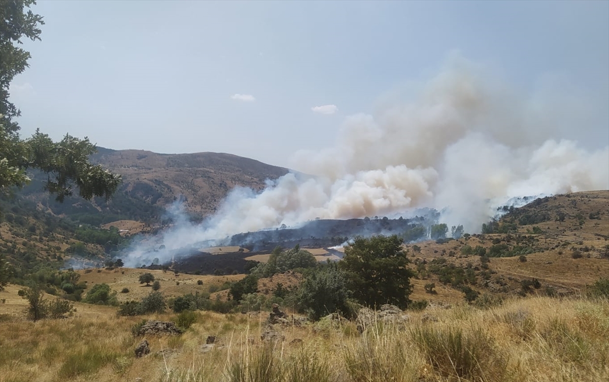 Afyonkarahisar'da çıkan örtü yangını söndürüldü